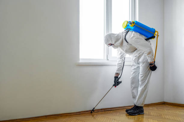 Best Termite Control Services  in Baidland, PA