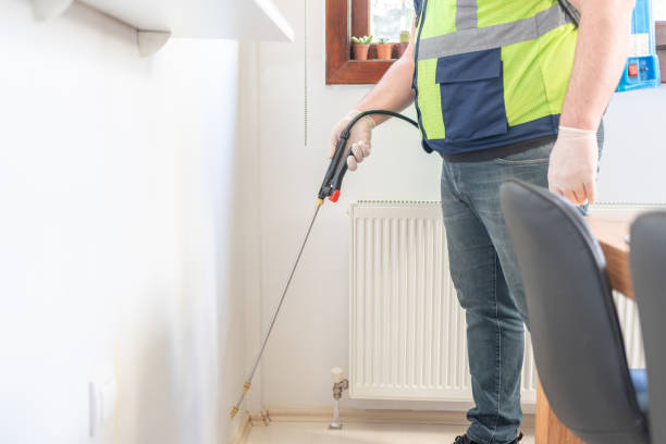 Best Local Pest Control Services  in Baidland, PA