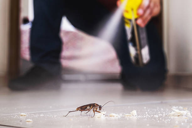 Professional Pest Control in Baidland, PA